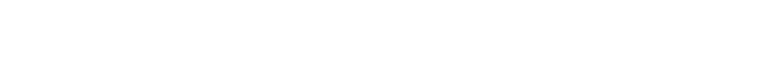 SallerSoft Solutions Logo